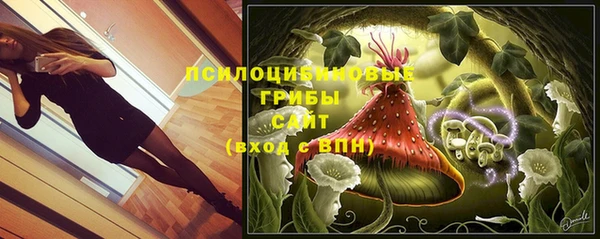 хмурый Куйбышев