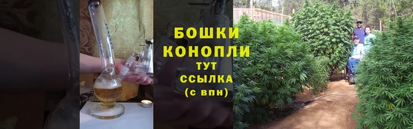 прущие крисы Кулебаки