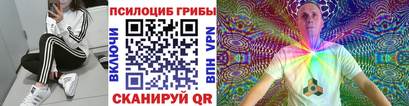 дарк нет телеграм  Лахденпохья  Псилоцибиновые грибы прущие грибы 